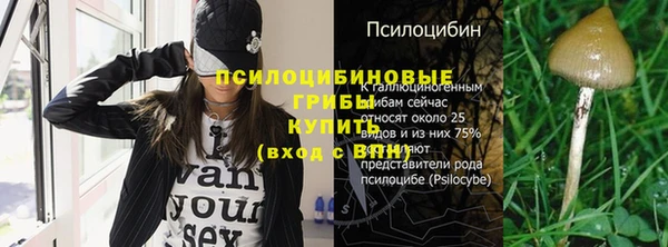 винт Абаза