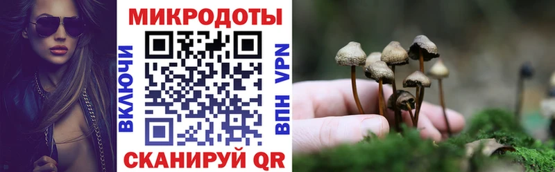 Псилоцибиновые грибы Magic Shrooms Сургут